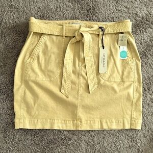 Plus size denim skirt